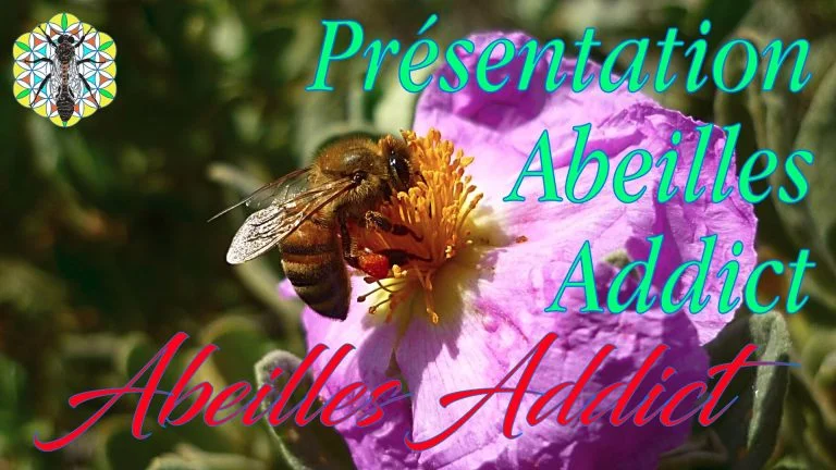 Lire la suite à propos de l’article Présentation ABEILLES ADDICT ®