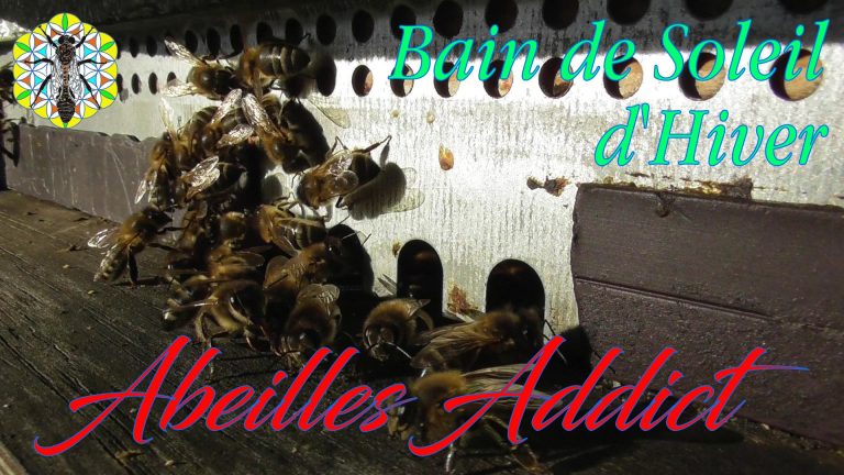 Lire la suite à propos de l’article Bain de Soleil d&rsquo;Hiver