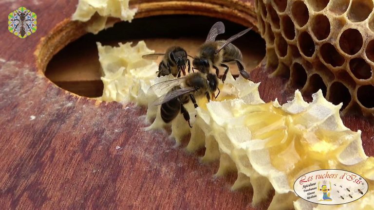 Lire la suite à propos de l’article Quand on bâtit en dehors des cadres